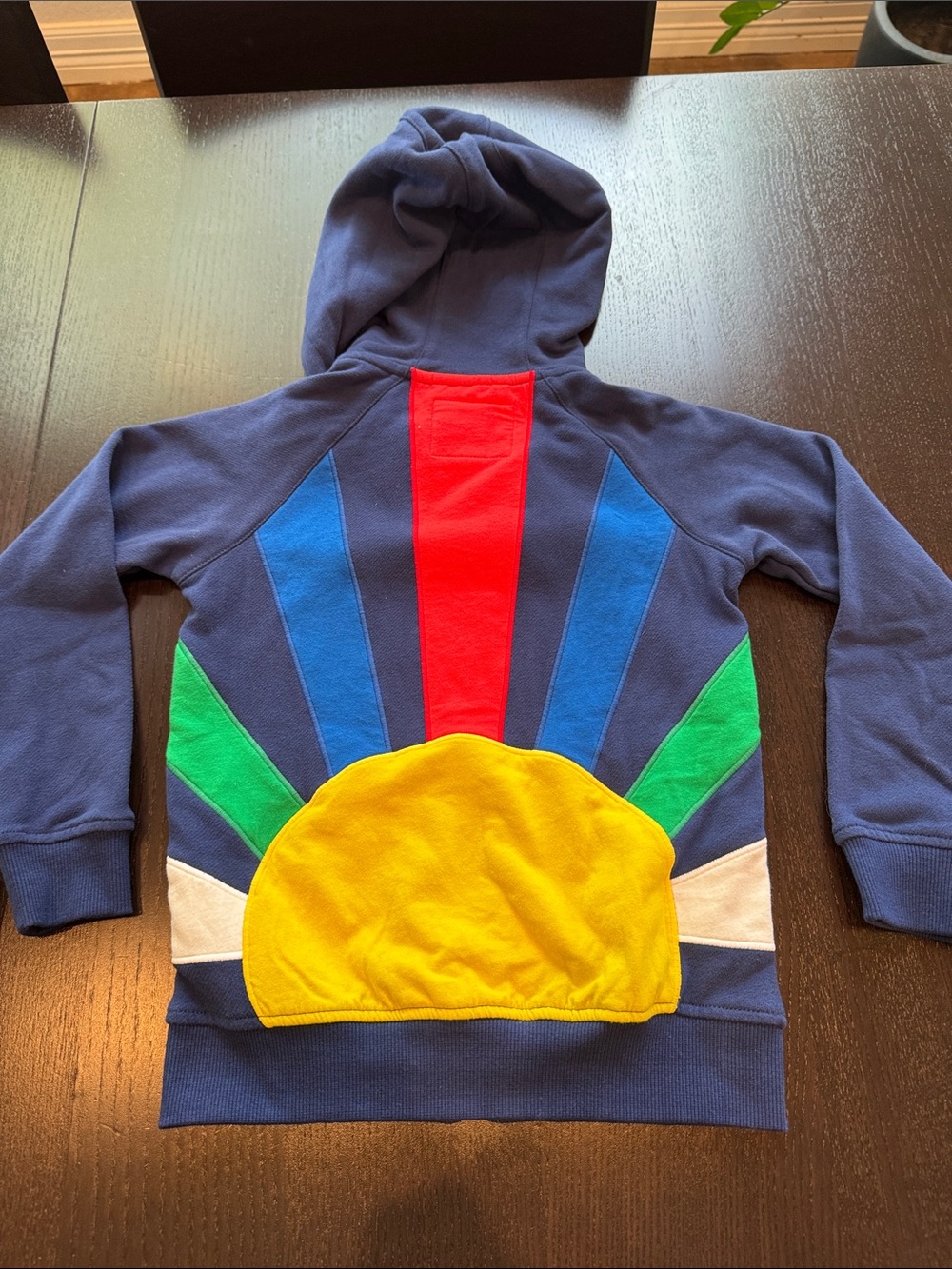 Mini Boden Navy Hoodie with Multicolor Sunburst Applique